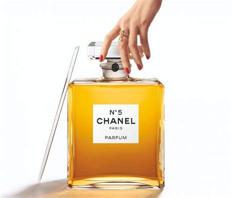 chanel perfume bottle decor|Chanel no 5 biggest bottle.